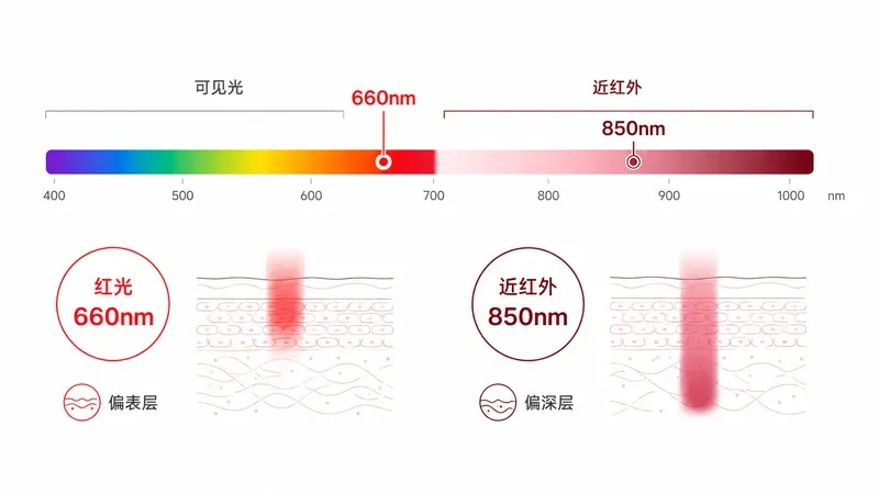 红光与近红外波长选择示意图 — 660nm 850nm 区别