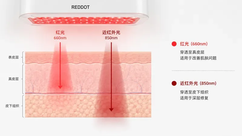 红光穿透皮肤组织的示意图,标注红光和近红外光的穿透深度 — 红光疗法